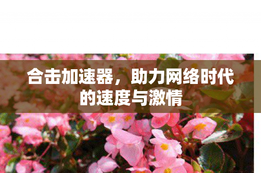 合击加速器,助力网络时代的速度与激情 合击加速器,助力网络时代的速度与激情