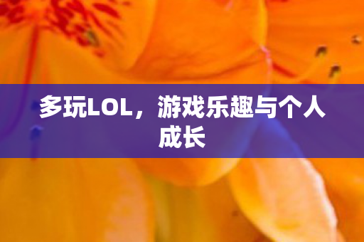 多玩LOL，游戏乐趣与个人成长