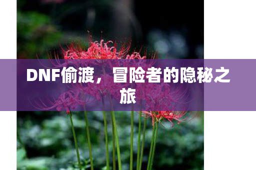 DNF偷渡,冒险者的隐秘之旅 DNF偷渡,冒险者的隐秘之旅