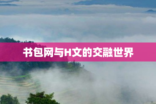 书包网与H文的交融世界 书包网与H文的交融世界