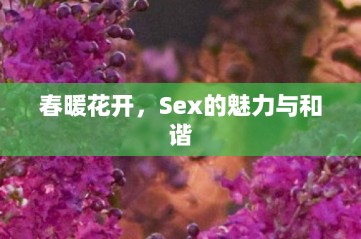 春暖花开，Sex的魅力与和谐
