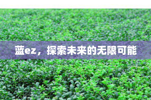 蓝ez，探索未来的无限可能