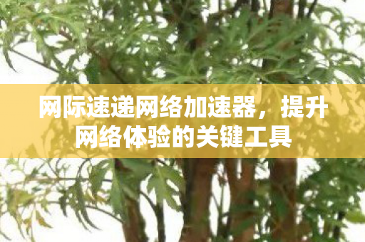 网际速递网络加速器，提升网络体验的关键工具