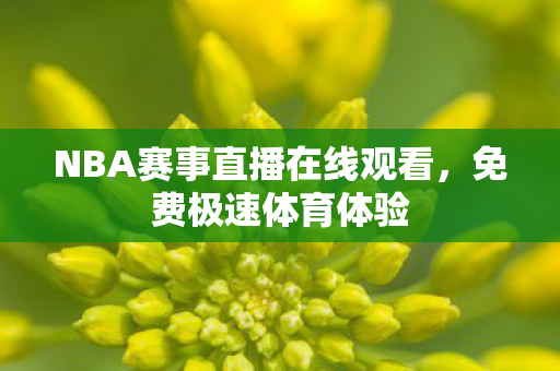 NBA赛事直播在线观看,免费极速体育体验 NBA赛事直播在线观看,免费极速体育体验