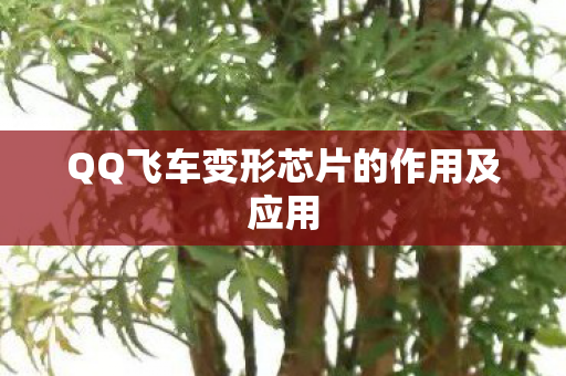QQ飞车变形芯片的作用及应用