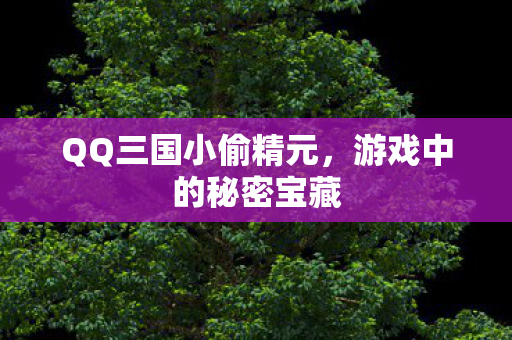 QQ三国小偷精元，游戏中的秘密宝藏
