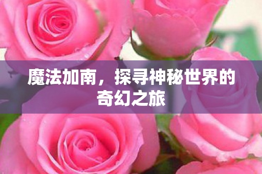 魔法加南，探寻神秘世界的奇幻之旅