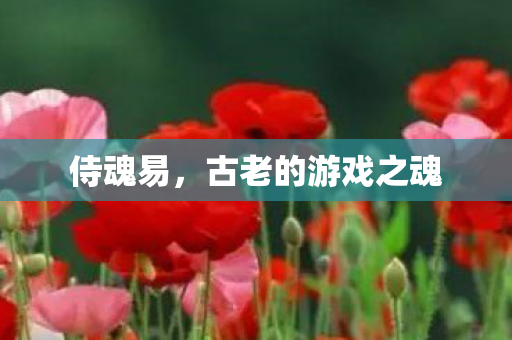 侍魂易，古老的游戏之魂