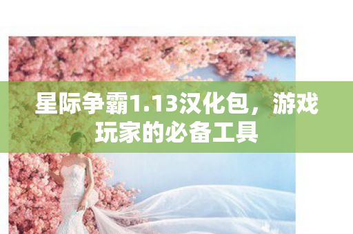 星际争霸1.13汉化包，游戏玩家的必备工具