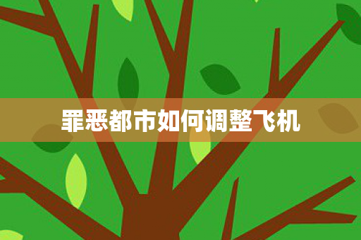 罪恶都市如何调整飞机 罪恶都市如何调整飞机