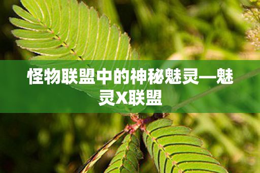 怪物联盟中的神秘魅灵—魅灵X联盟 怪物联盟中的神秘魅灵—魅灵X联盟