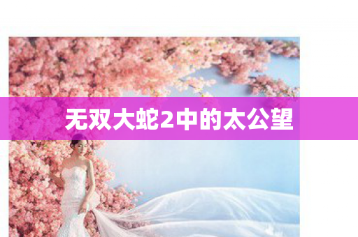 无双大蛇2中的太公望