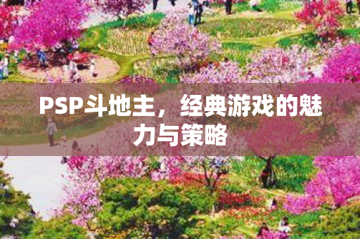 PSP斗地主，经典游戏的魅力与策略