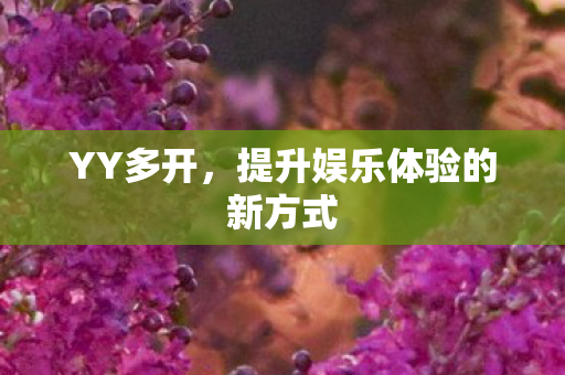 YY多开，提升娱乐体验的新方式