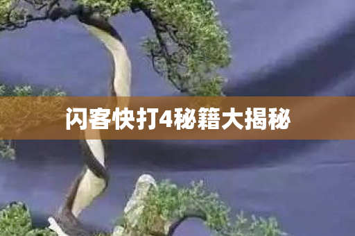 闪客快打4秘籍大揭秘