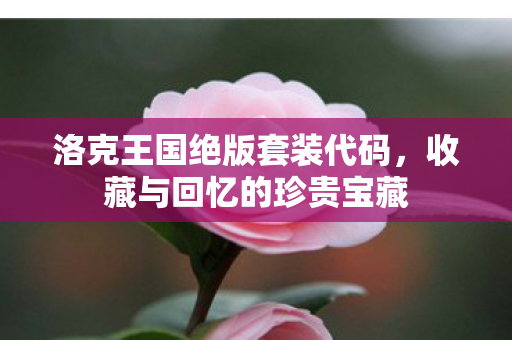 洛克王国绝版套装代码，收藏与回忆的珍贵宝藏