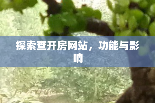 探索查开房网站，功能与影响