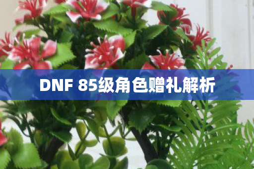 DNF 85级角色赠礼解析 DNF 85级角色赠礼解析
