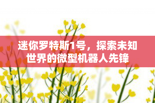 迷你罗特斯1号，探索未知世界的微型机器人先锋