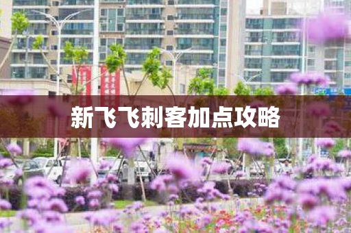新飞飞刺客加点攻略