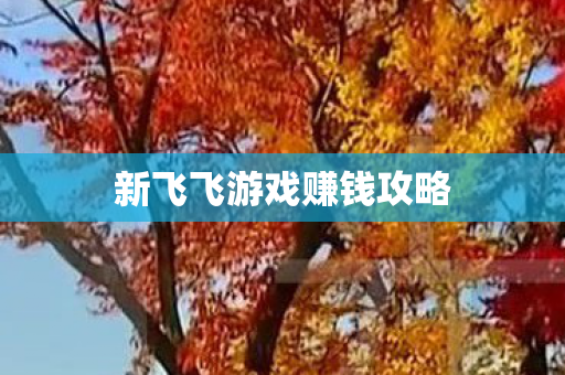 新飞飞游戏赚钱攻略 新飞飞游戏赚钱攻略