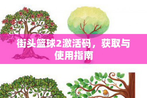街头篮球2激活码，获取与使用指南