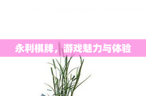 永利棋牌，游戏魅力与体验