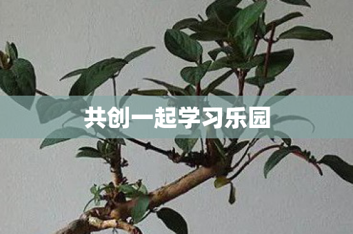共创一起学习乐园