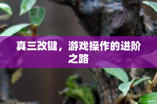 真三改键，游戏操作的进阶之路