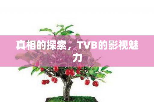 真相的探索,TVB的影视魅力 真相的探索,TVB的影视魅力