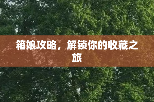 箱娘攻略，解锁你的收藏之旅