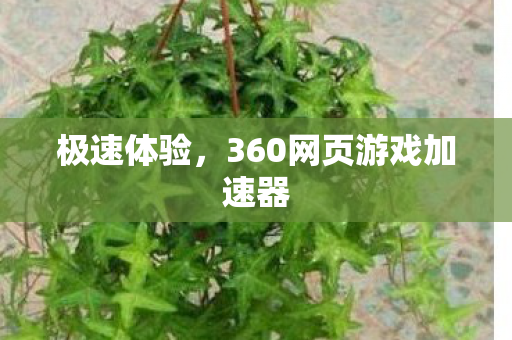 极速体验，360网页游戏加速器