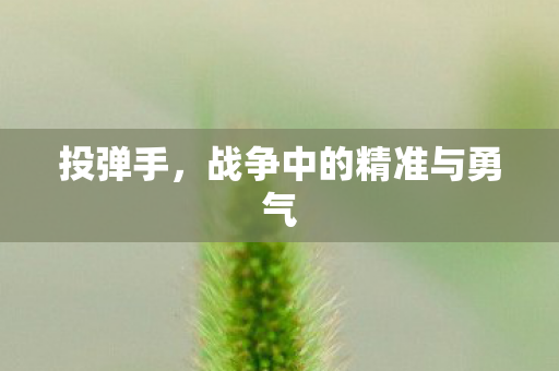 投弹手，战争中的精准与勇气