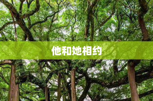 他和她相约
