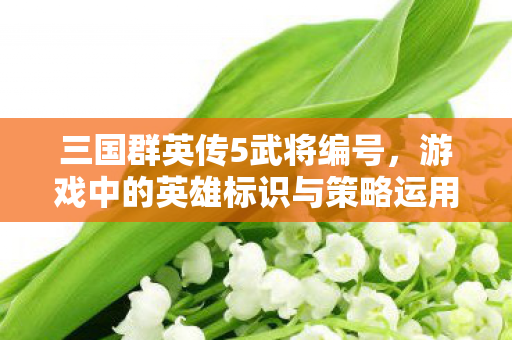 三国群英传5武将编号，游戏中的英雄标识与策略运用