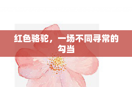 红色骆驼，一场不同寻常的勾当