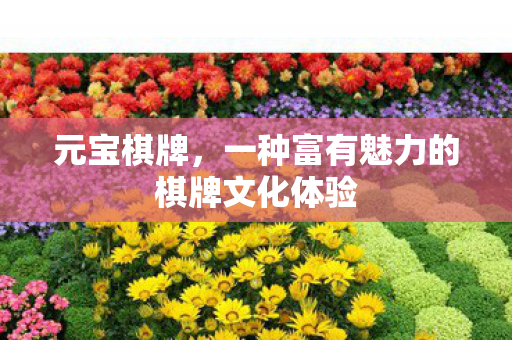 元宝棋牌，一种富有魅力的棋牌文化体验