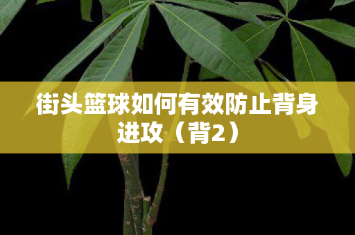 街头篮球如何有效防止背身进攻（背2）