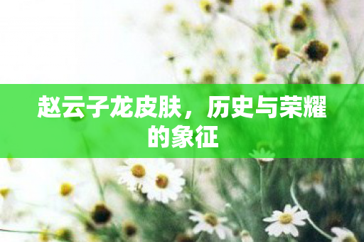 赵云子龙皮肤，历史与荣耀的象征