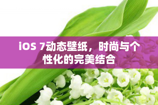 iOS 7动态壁纸，时尚与个性化的完美结合