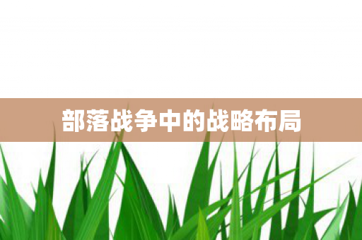 部落战争中的战略布局 部落战争中的战略布局