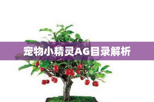 宠物小精灵AG目录解析