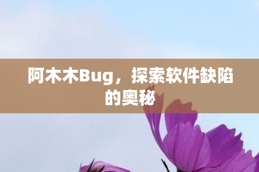 阿木木Bug，探索软件缺陷的奥秘