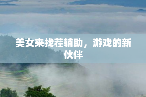 美女来找茬辅助，游戏的新伙伴