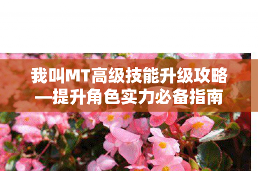 我叫MT高级技能升级攻略—提升角色实力必备指南 我叫MT高级技能升级攻略—提升角色实力必备指南