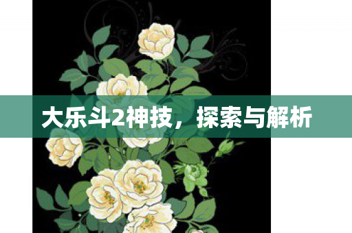 大乐斗2神技，探索与解析