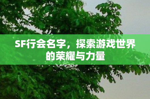 SF行会名字,探索游戏世界的荣耀与力量 SF行会名字,探索游戏世界的荣耀与力量