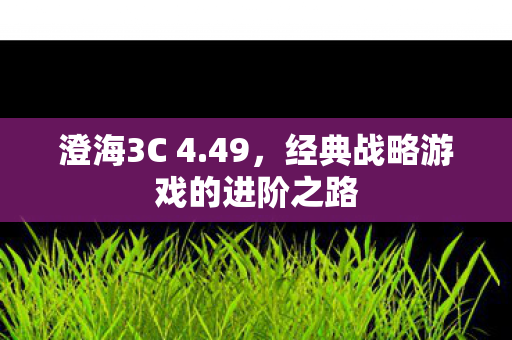 澄海3C 4.49，经典战略游戏的进阶之路
