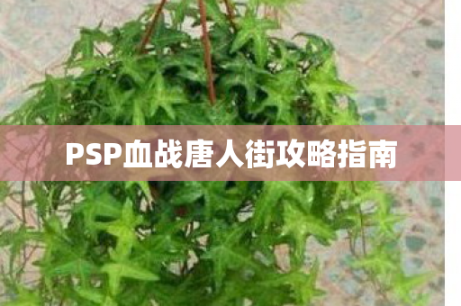 PSP血战唐人街攻略指南