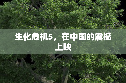 生化危机5，在中国的震撼上映